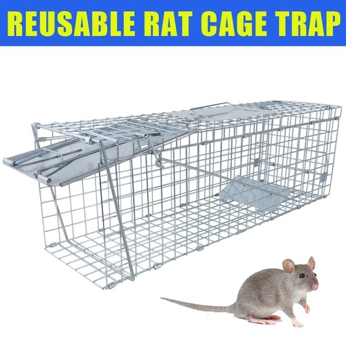 Extra large animal trap - animal,