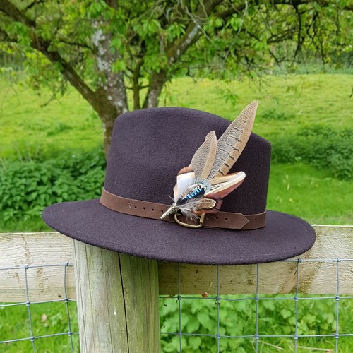 Large pheasant jay feather - jay,