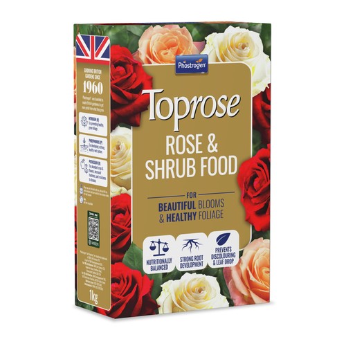 Toprose 5878143 rose and - 5878143,