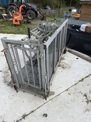 Sheep turnover crate - sheep,