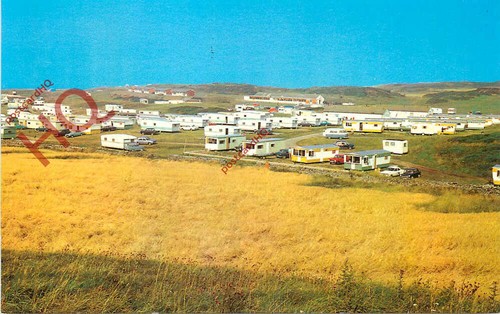 Picture postcard burrow head - picture, postcard_