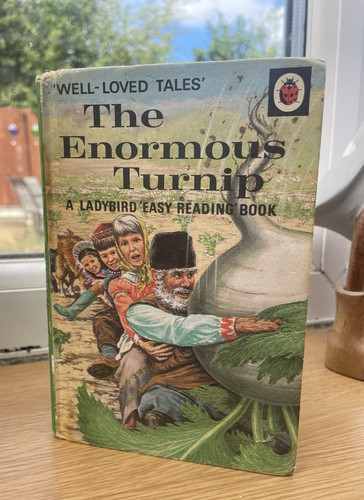 Vintage ladybird book well - ladybird,