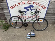 Raleigh Monsoon 20” Ladies