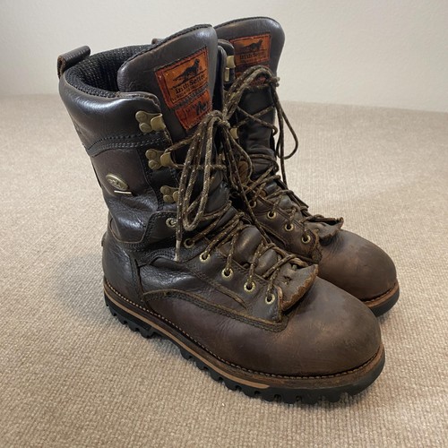 Irish setter snow - setter, boots