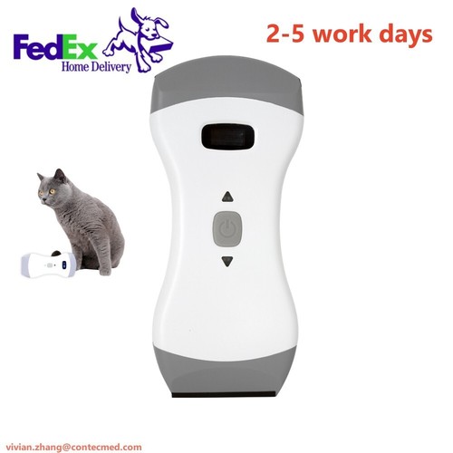 Dog cat wireless - dog,