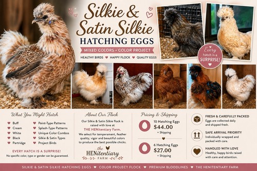 Silkie satin - 10,