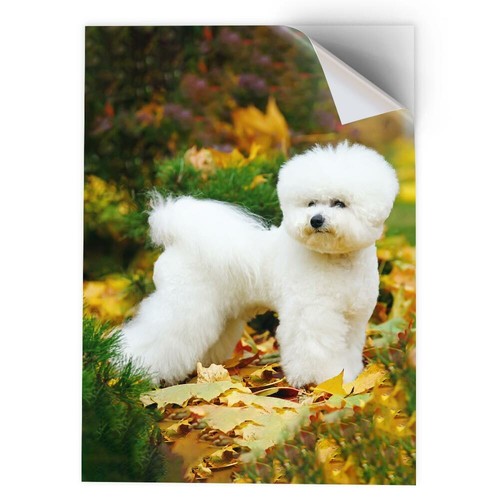 Vinyl sticker white - -,