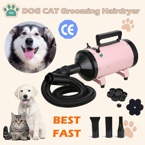2800w dog cat pet dryer - 2800w,