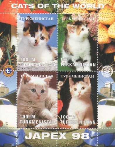 Cats feline cute - , 1998