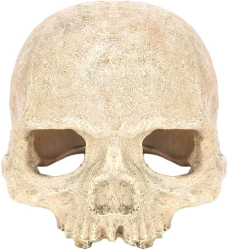 Aquarium skull ornament - aquarium,