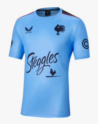 Castore sydney roosters - castore,