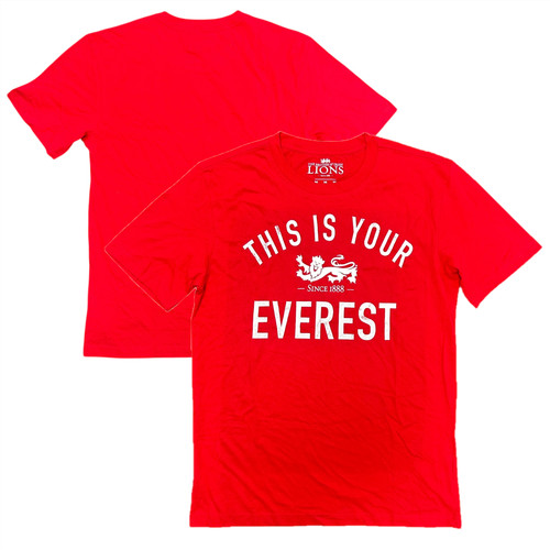 British irish lions t shirt - irish,