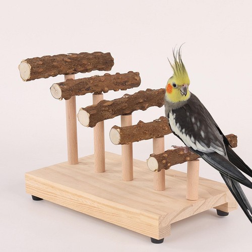 Pet parrot playstand wooden - parrot,