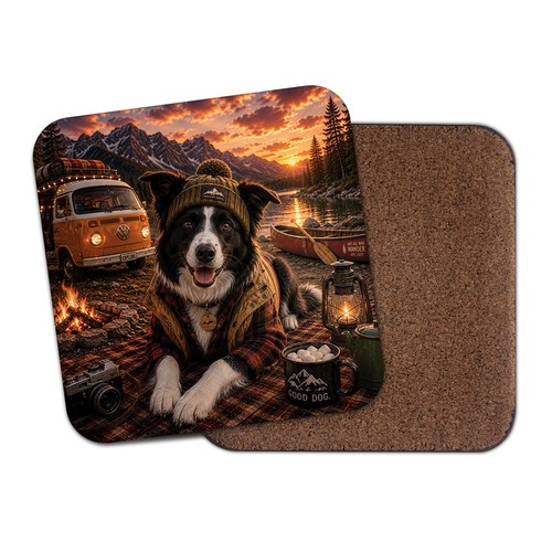 Van life border - border, collie