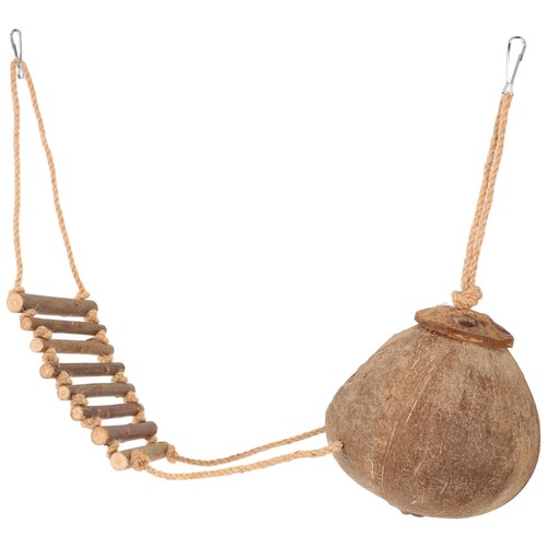 Crested gecko coconut - coconut, hide
