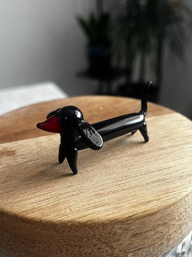 Miniature dachshund dog - dachshund,