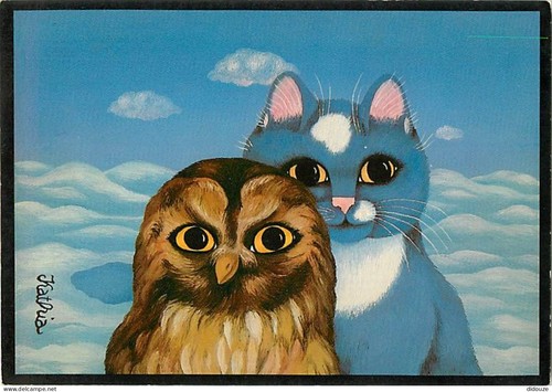 Postcard animals cats - postcard,