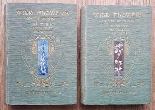 Antique vol set - vol, wild
