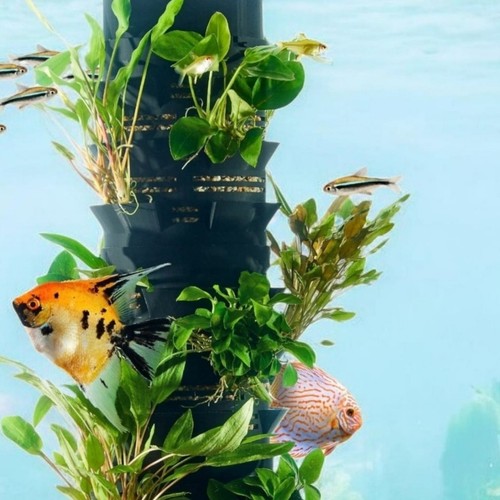 Modular planter for planted - planter,