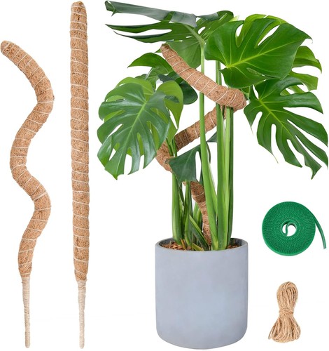 Bendable moss pole for - moss,