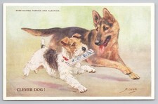 WWII Era Clever Dog ARP Quiz Postcard Mabel Gear, Terrier & Alsatian, Valentine
