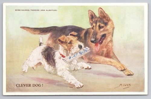 Wwii era clever - clever, dog