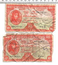 1966 ireland scruffy - 1966, 2