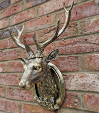 Wall mounted gold stag - wall,