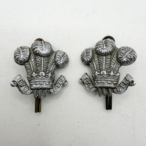 Genuine prince wales - prince,