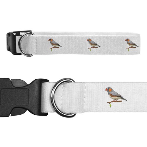 Zebra finch dog collars - ',