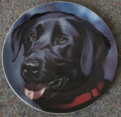 Peter stanier plate dog - peter,