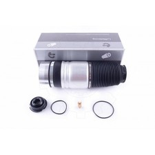 Rear Pneumatic Suspension For