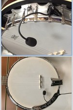 Myers Pickups the Feather