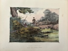 Antique Print c1880 Rabbit