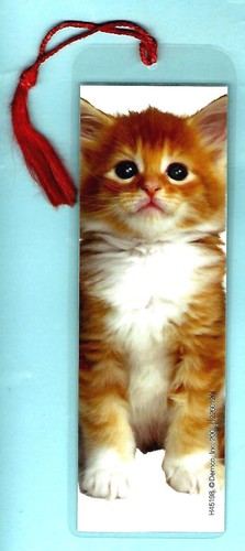 Ginger kitten bookmark - kitten,