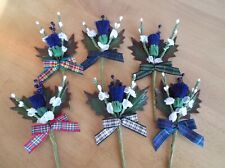 Scottish thistle heather