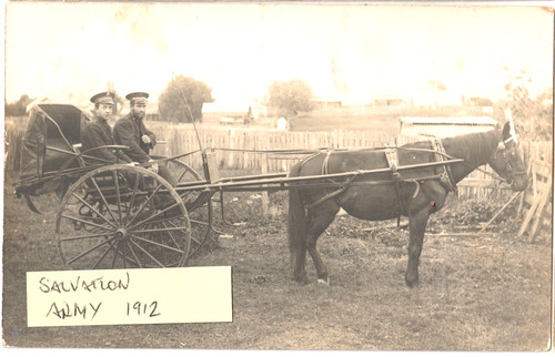 Salvation army horse drawn - army,
