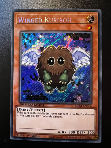 Winged kuriboh sgx1 - kuriboh, sgx1-ena06
