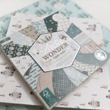 First Edition 'Arctic Wonder'