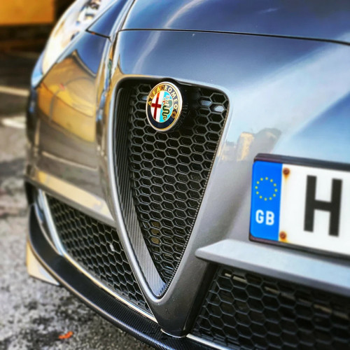 Alfa romeo mito honeycomb mesh - mito,