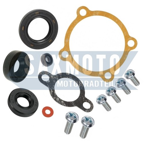 Complete oil pump - repair, kit