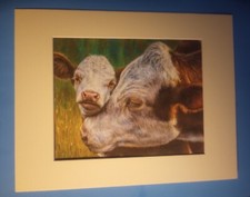 11" x 14" Matted 8" x 10"