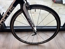 2012 Focus Izalco Donna