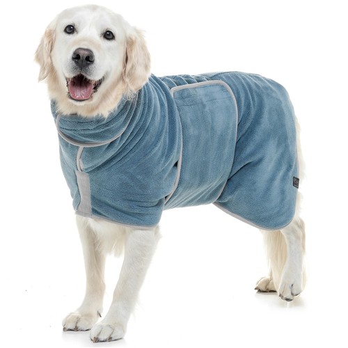 Lucky paws dog - lucky,