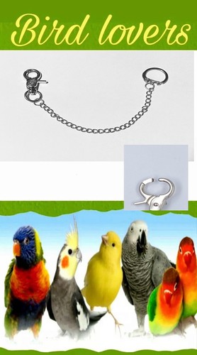 Birdlovers snap locks - , bird