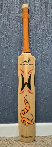 Woodworm pioneer the - woodworm,