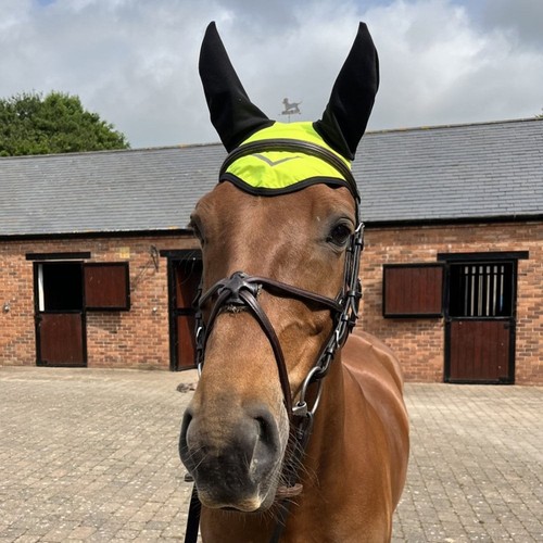Ruggles viz ear bonnet - hi-viz,