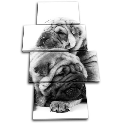 Shar pei puppies dog animals - dog,