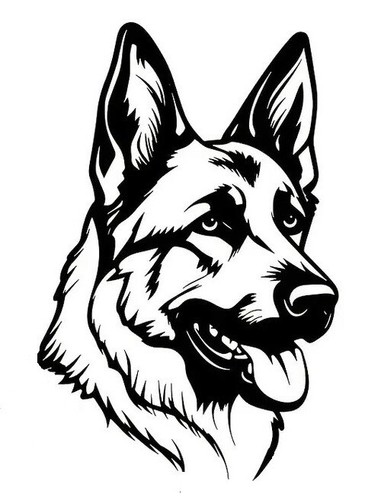 Large german sheperd dog - german,