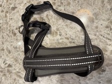 Dog Harness for Small Dog Or Puppy with Chest Padding Adjustable